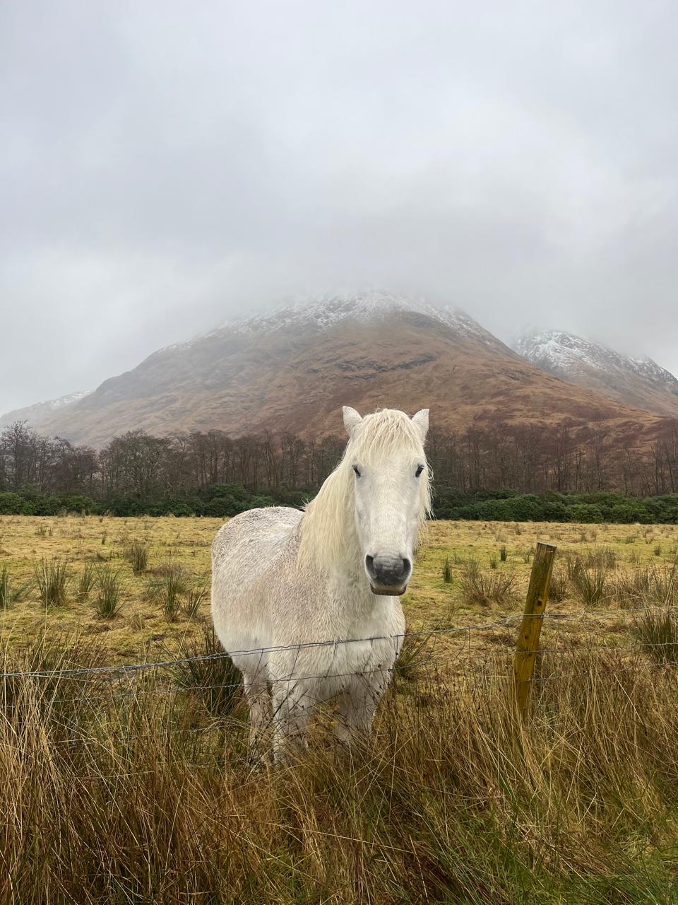 Glencoe Guide 2026: What to See, Trails, and Viewpoints in the Scottish Valley - Imagen 6