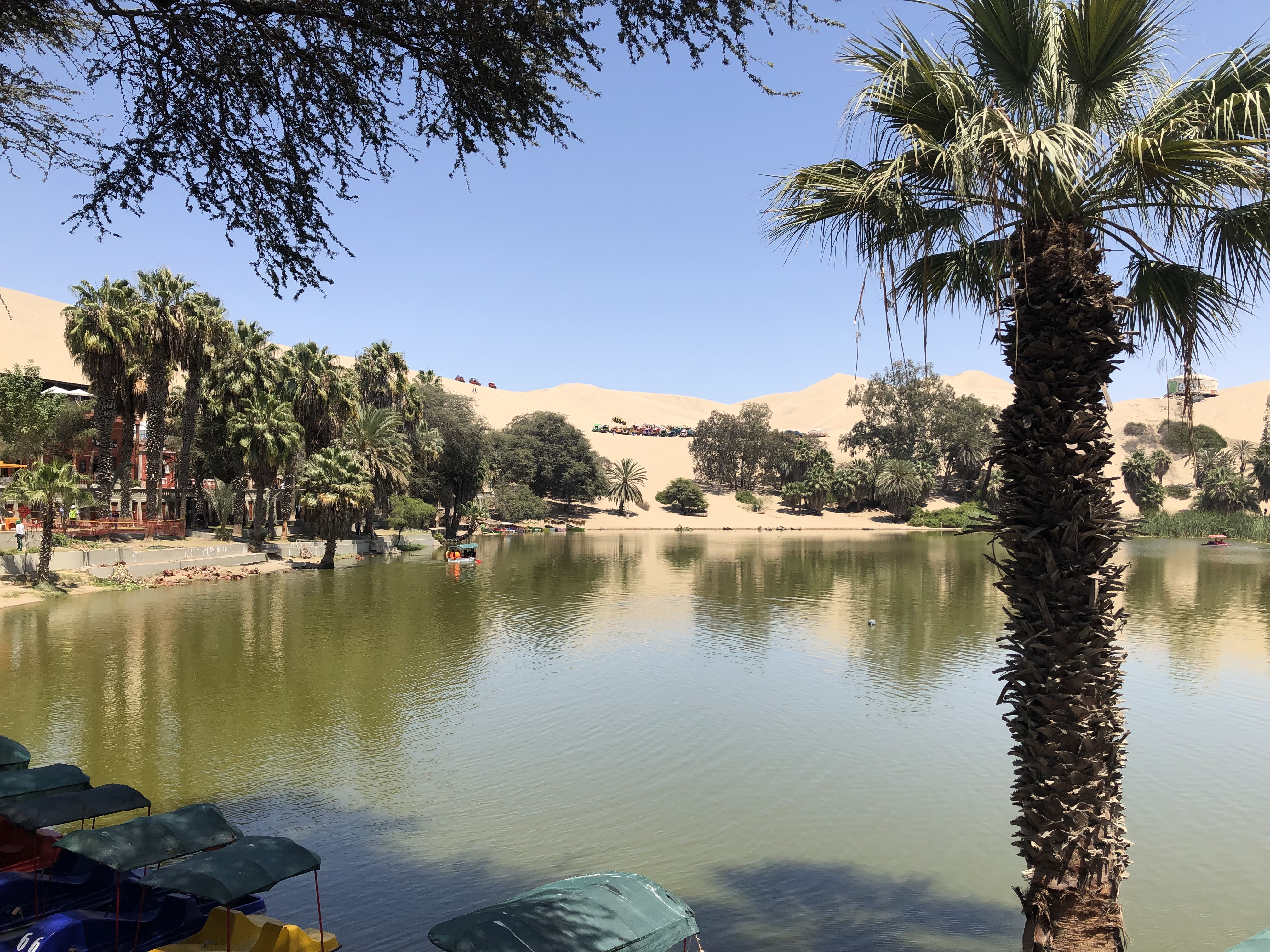 Guía de Ica y Huacachina 2026: Oasis, Buggies y Bodegas de Pisco - Imagen 5