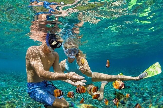El snorkel en Islas del Rosario a unos minutos en lancha desde Isla Barú es una experiencia mágica para disfrutar.