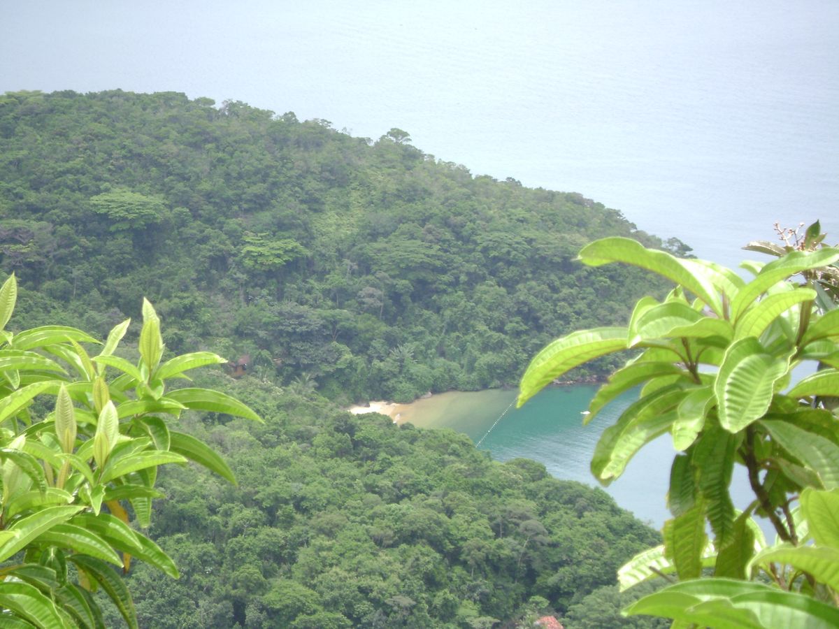 Trilha a Lopes Mendes, Ihla Grande, Brasil.