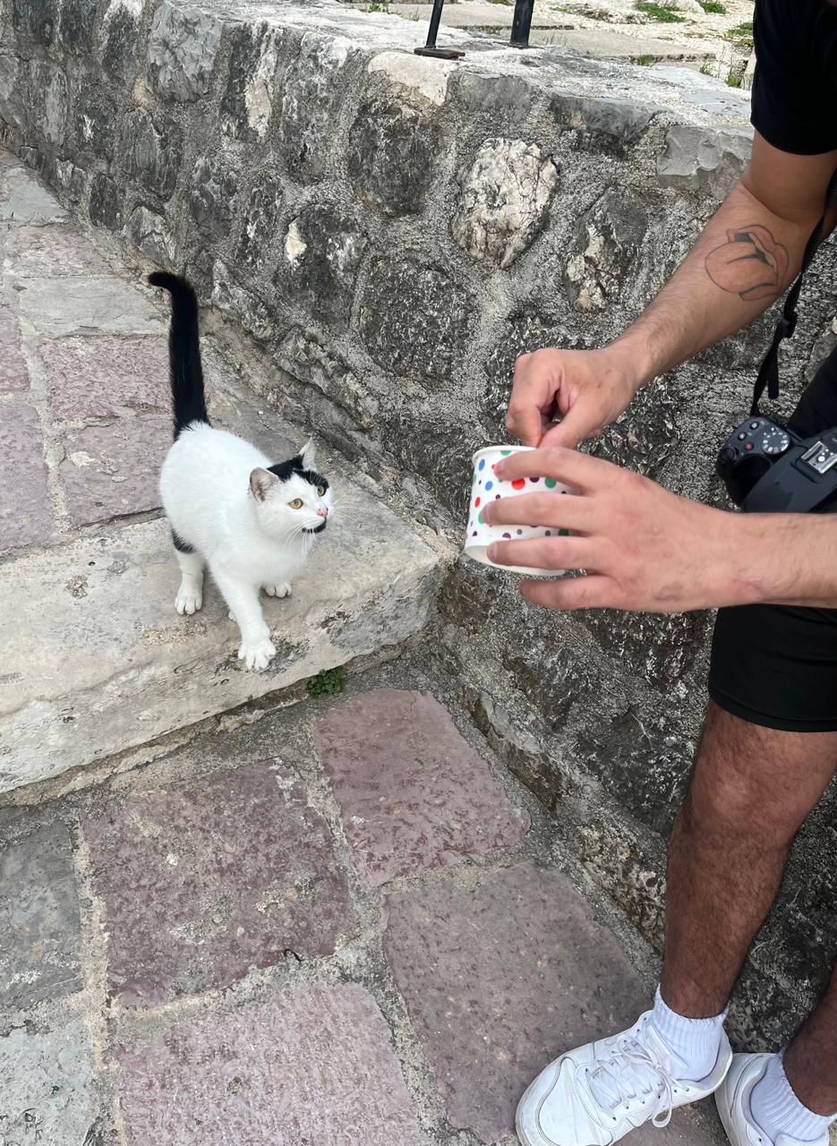 Guía de viaje a Kotor 2026: Qué ver en la joya amurallada de Montenegro - Imagen 1