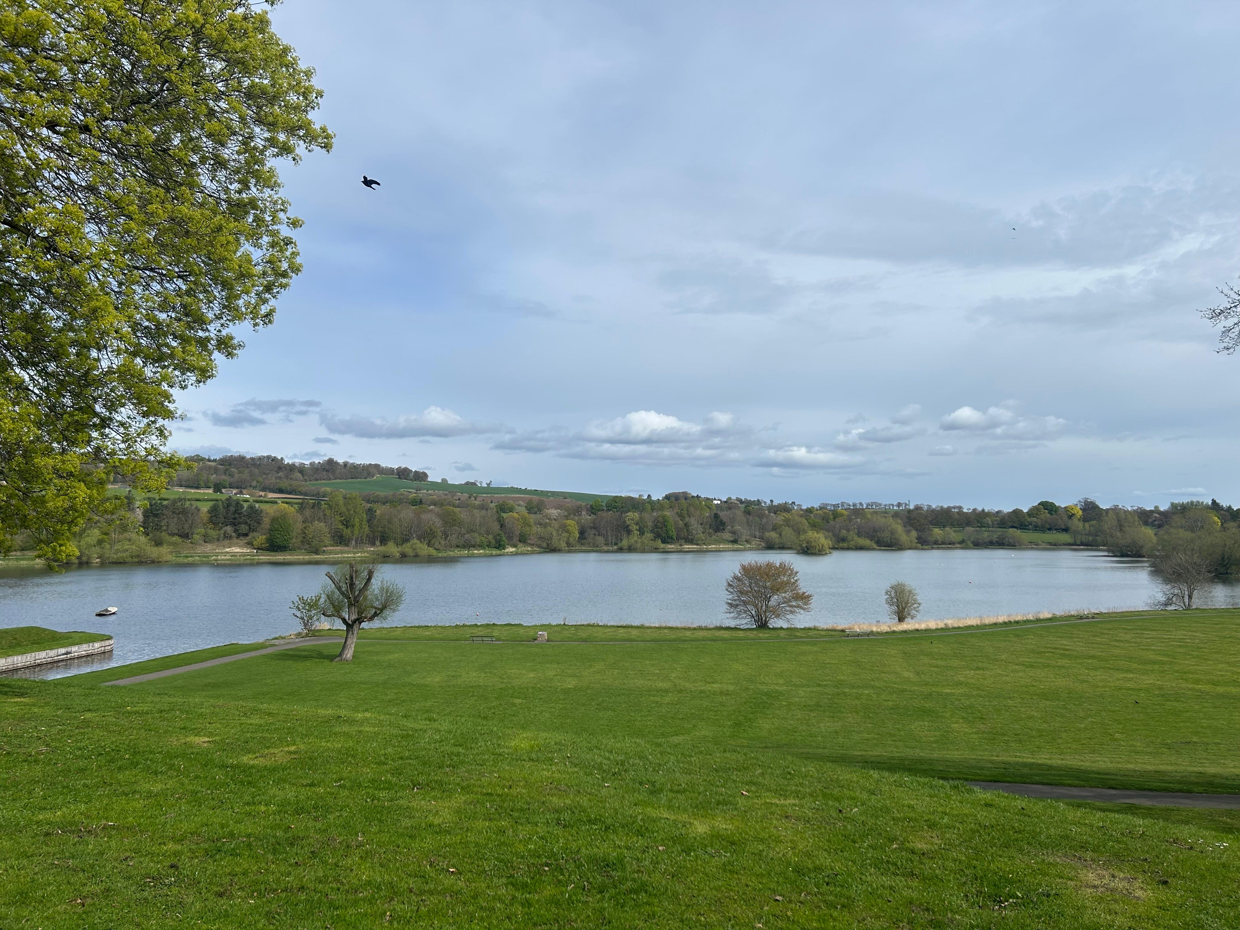 The natural environment of Linlithgow Loch, a sanctuary for water birds and the perfect place to disconnect with a walk along the shore.