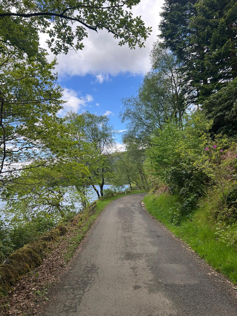 Loch Lomond in Scotland: What to See, How to Get There, and Guide to the Most Famous Loch - Imagen 10