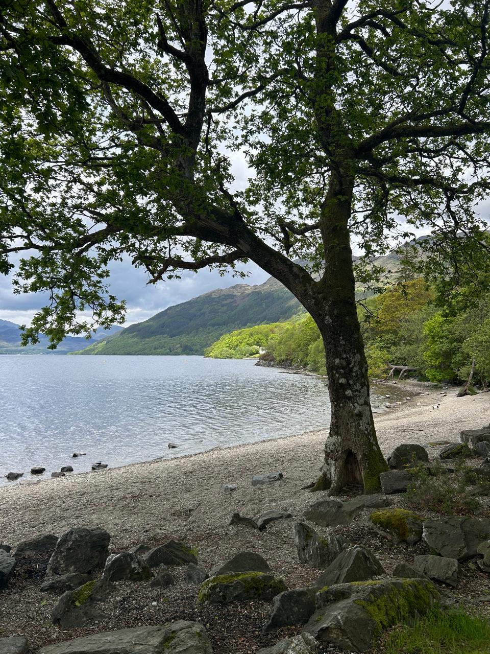 Loch Lomond in Scotland: What to See, How to Get There, and Guide to the Most Famous Loch - Imagen 3