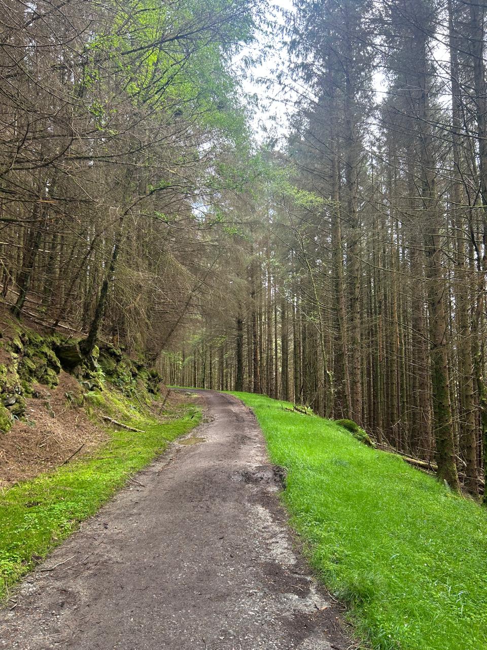 Loch Lomond in Scotland: What to See, How to Get There, and Guide to the Most Famous Loch - Imagen 8