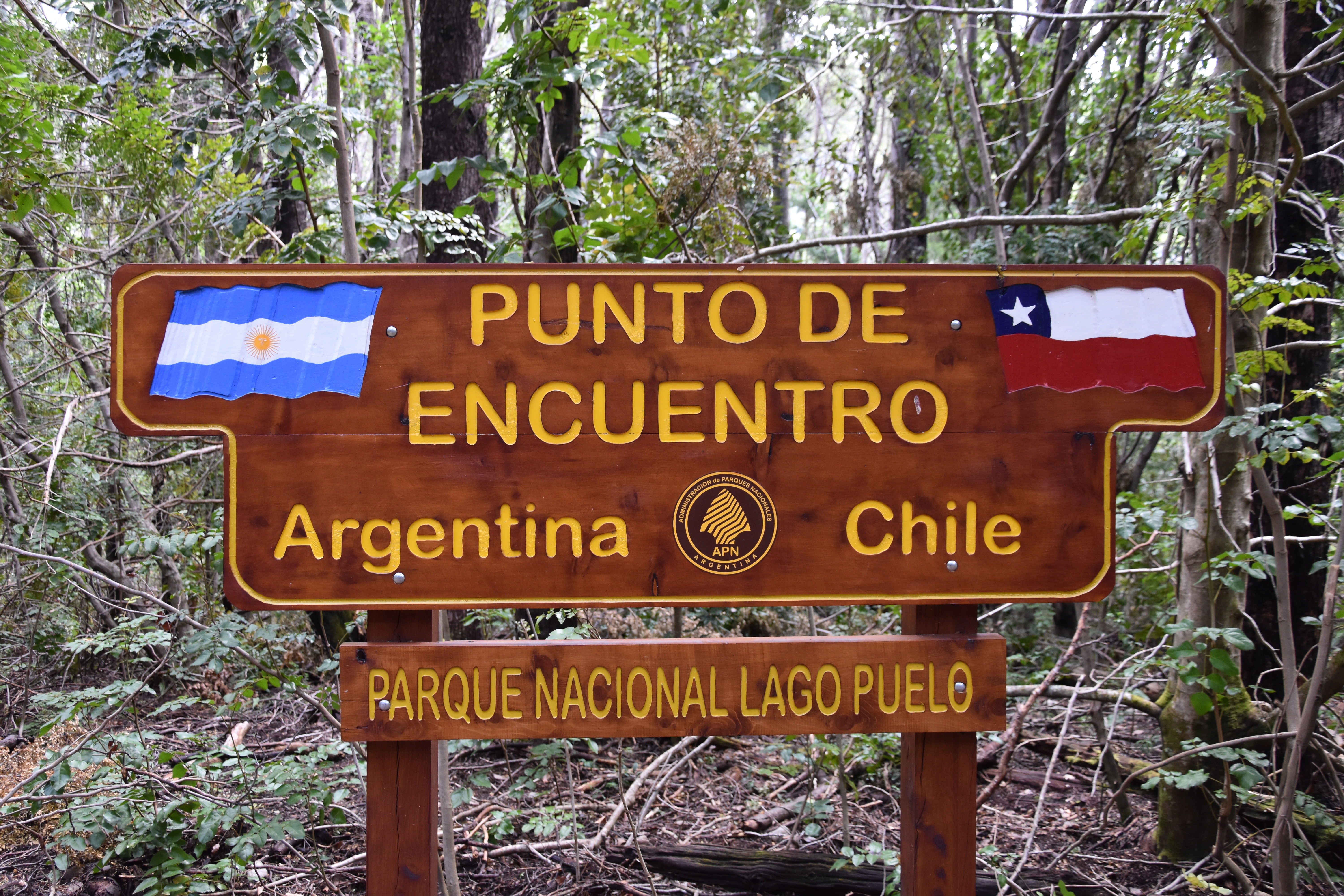 Límite fronterizo con Chile, en el Parque Nacional Lago Puelo, Argentina.