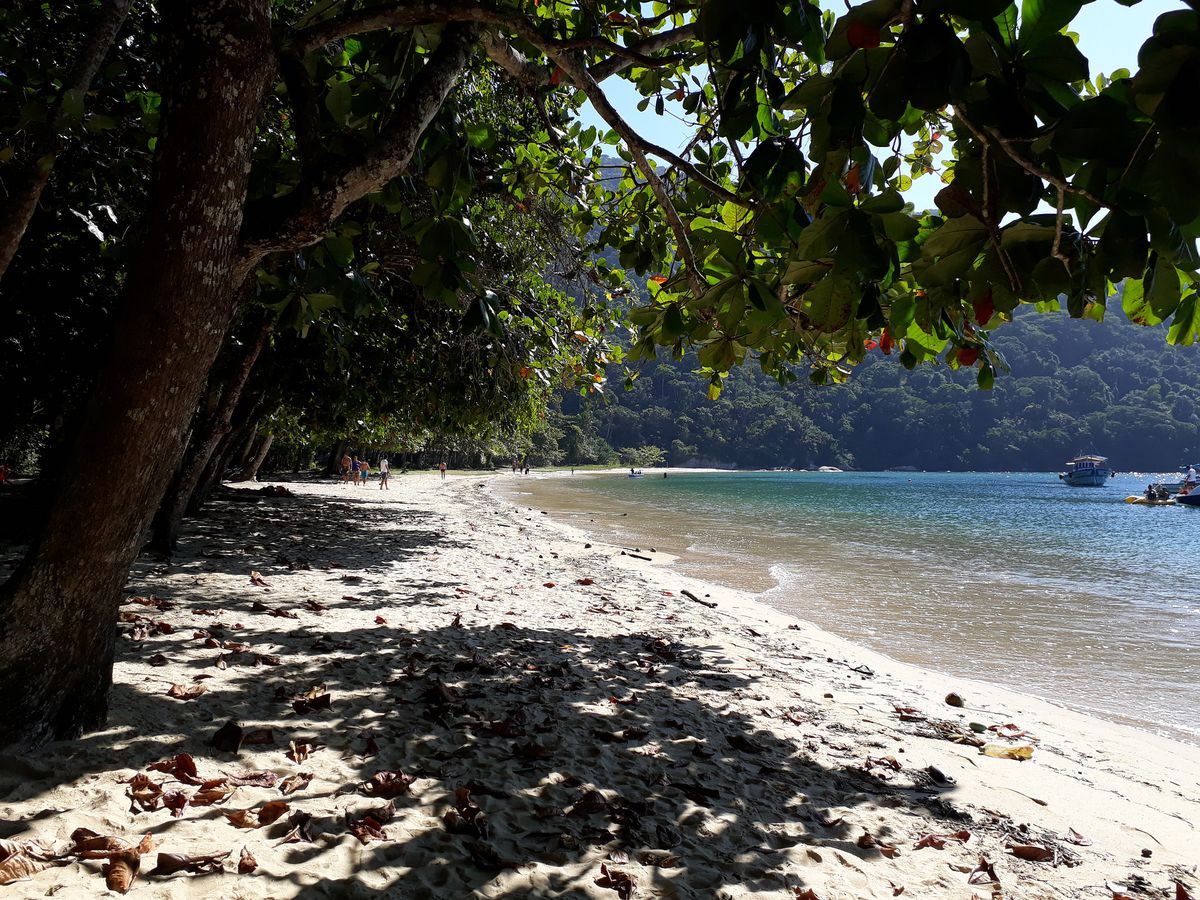 Orilla de Lopes Mendes con sombra natural de almendros e inmensidad de arena blanca.