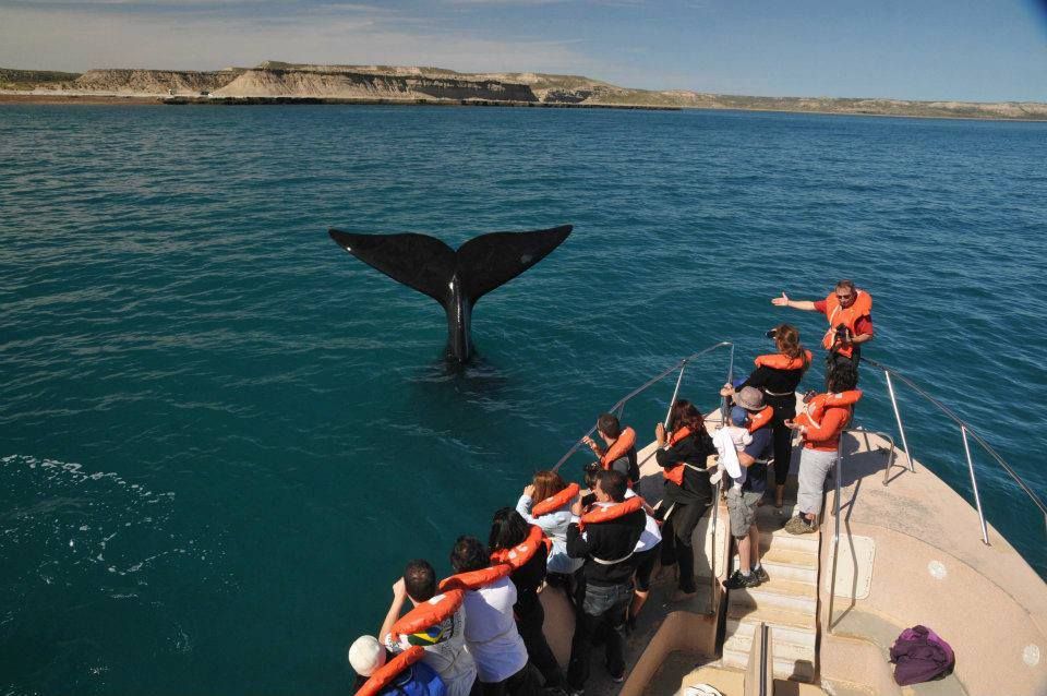 Whale watching tours depart from Puerto Pirámides, Valdés Peninsula.