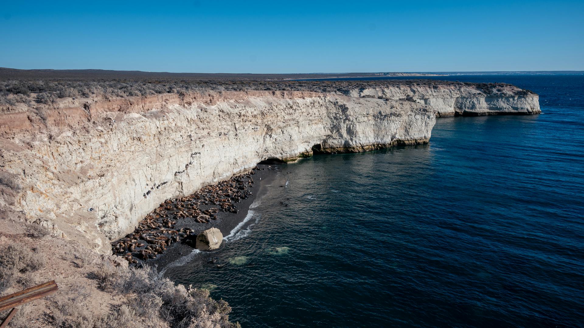 Punta Loma Sea Lion Reserve, Puerto Madryn, Argentina.