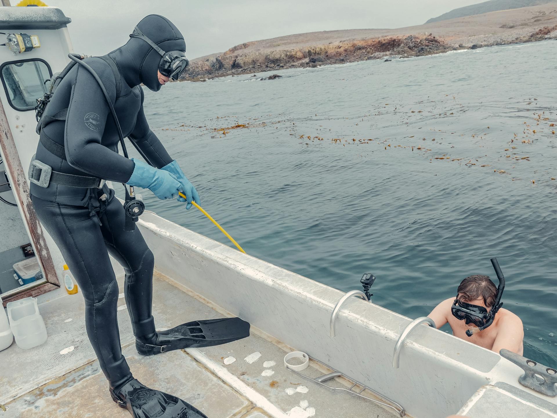 Snorkeling with sea lions in Puerto Madryn, Argentina.