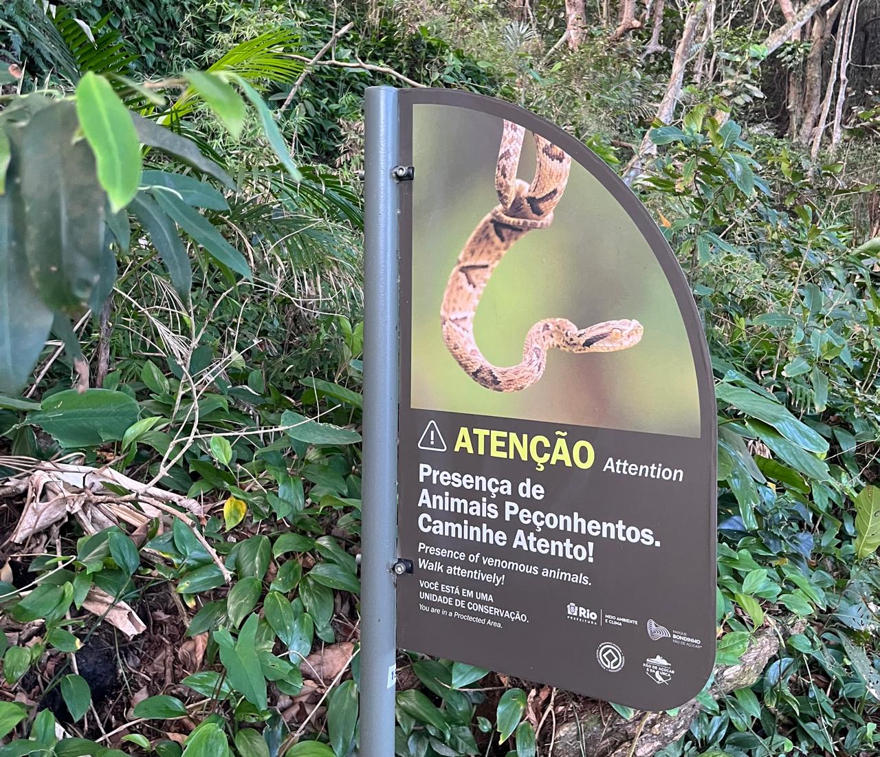 Abundant local wildlife on the hill, from exotic birds and marmosets to snakes. Morro da Urca in Rio de Janeiro.