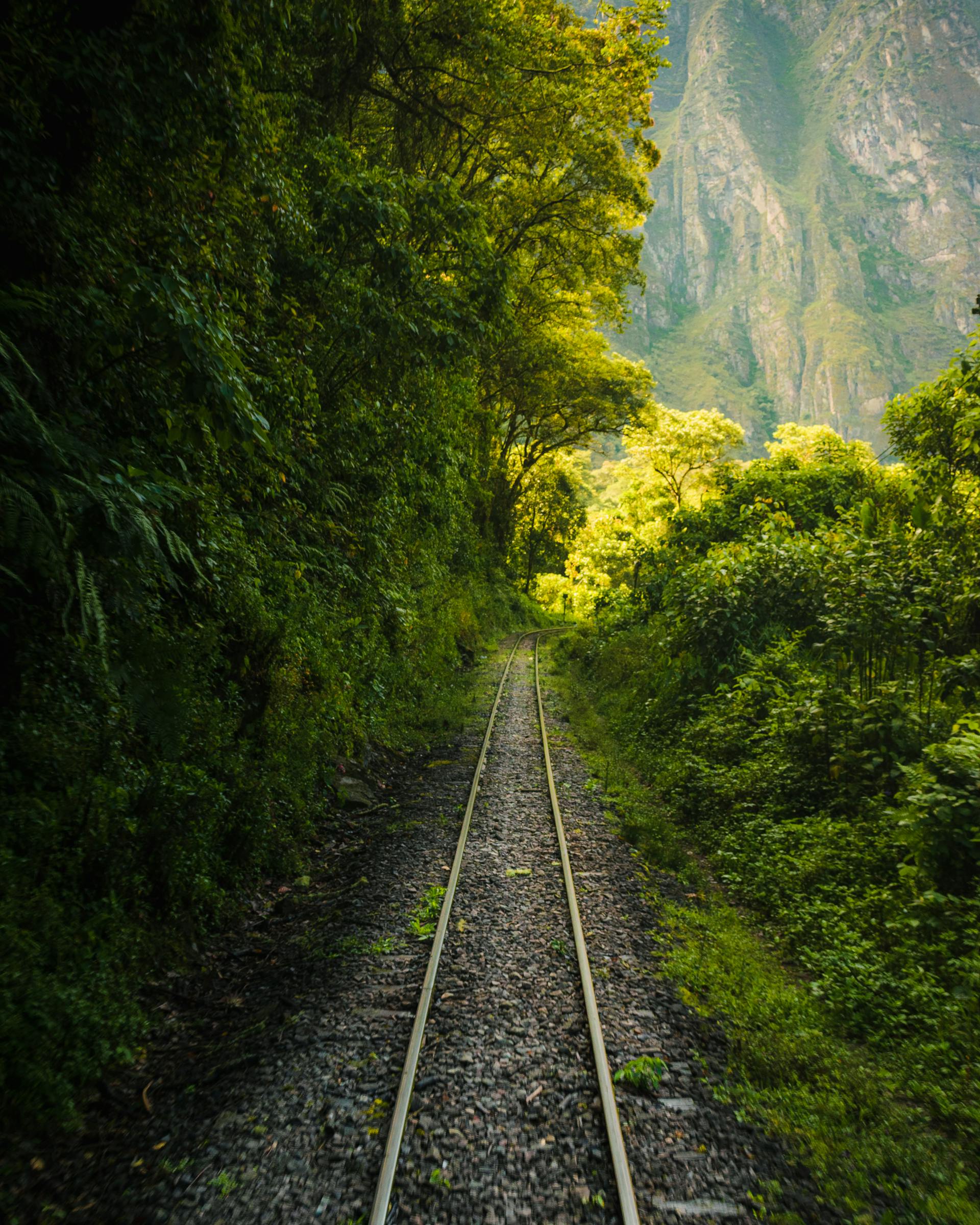 Guía Machu Picchu 2026: Nuevos Circuitos, Entradas y Consejos de Experto - Imagen 15