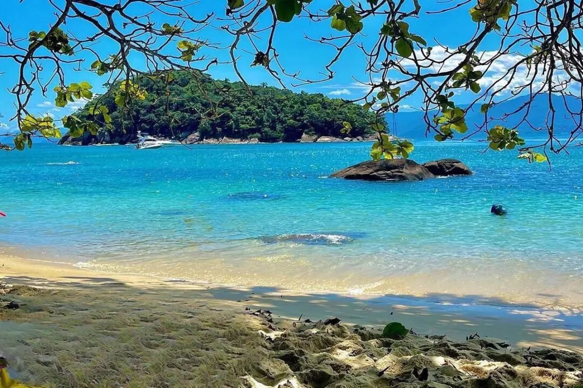 Praia do Lázaro con mar calmo y sombra de árboles amendoeiras, Ubatuba.