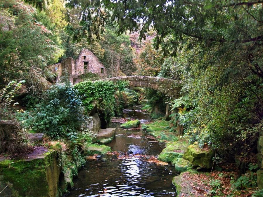 Natural trails and ancient bridges in the idyllic park of Jesmond Dene. Newcastle, England.