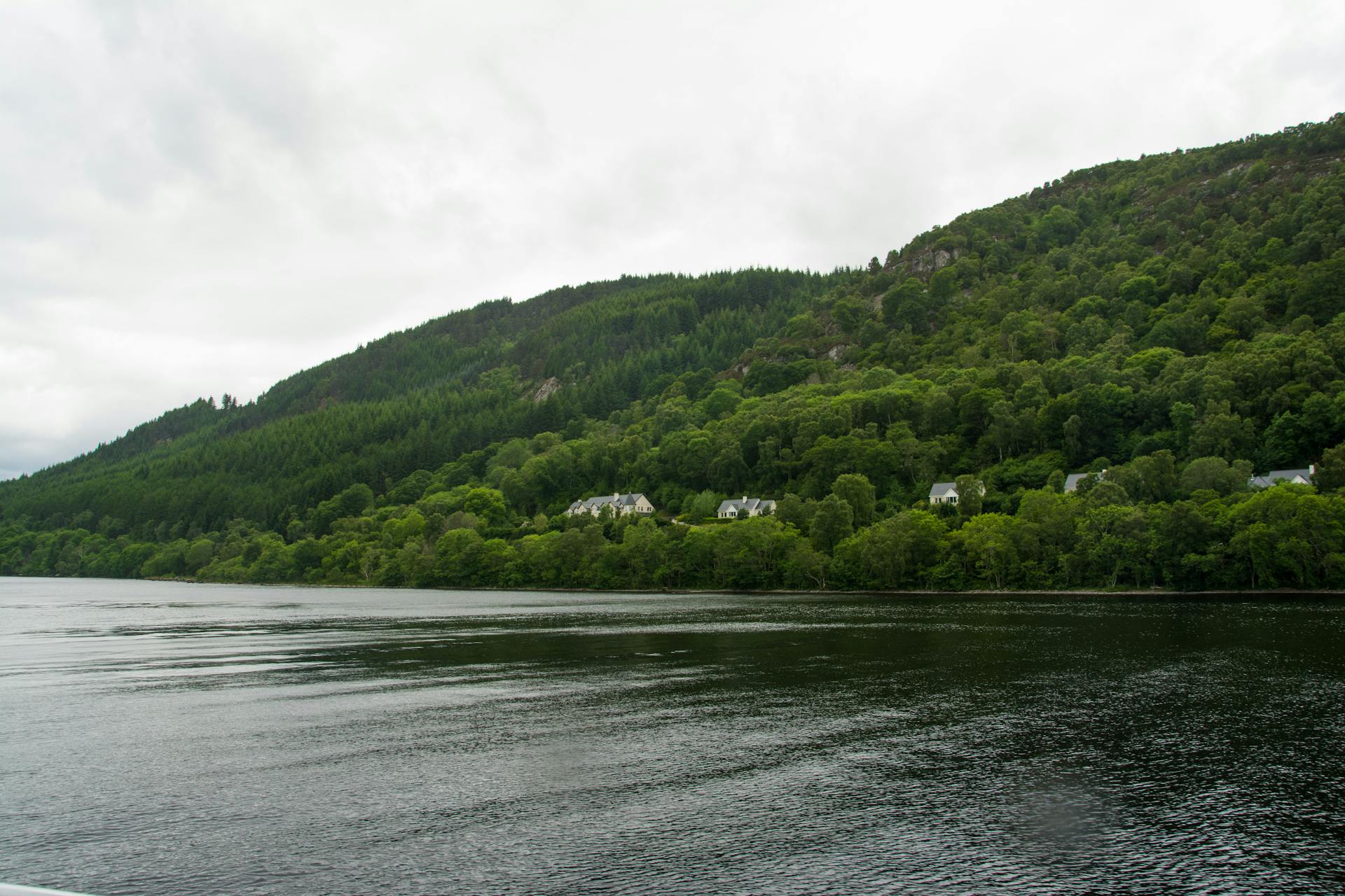 Vistas del lago desde la orilla de Drumnadrochit, donde la inmensidad del agua negra contrasta con el verde intenso de las colinas.