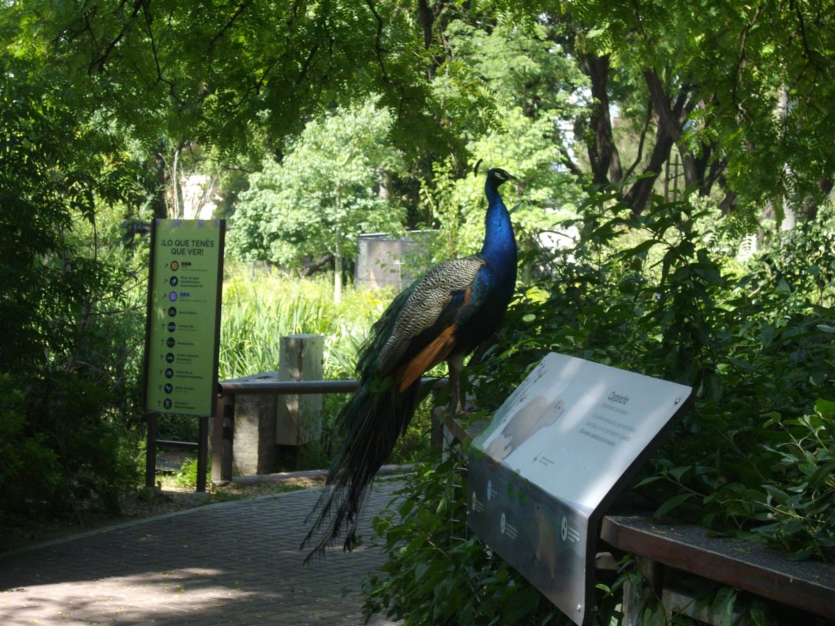Ecoparque de Buenos Aires, Palermo, Buenos Aires.