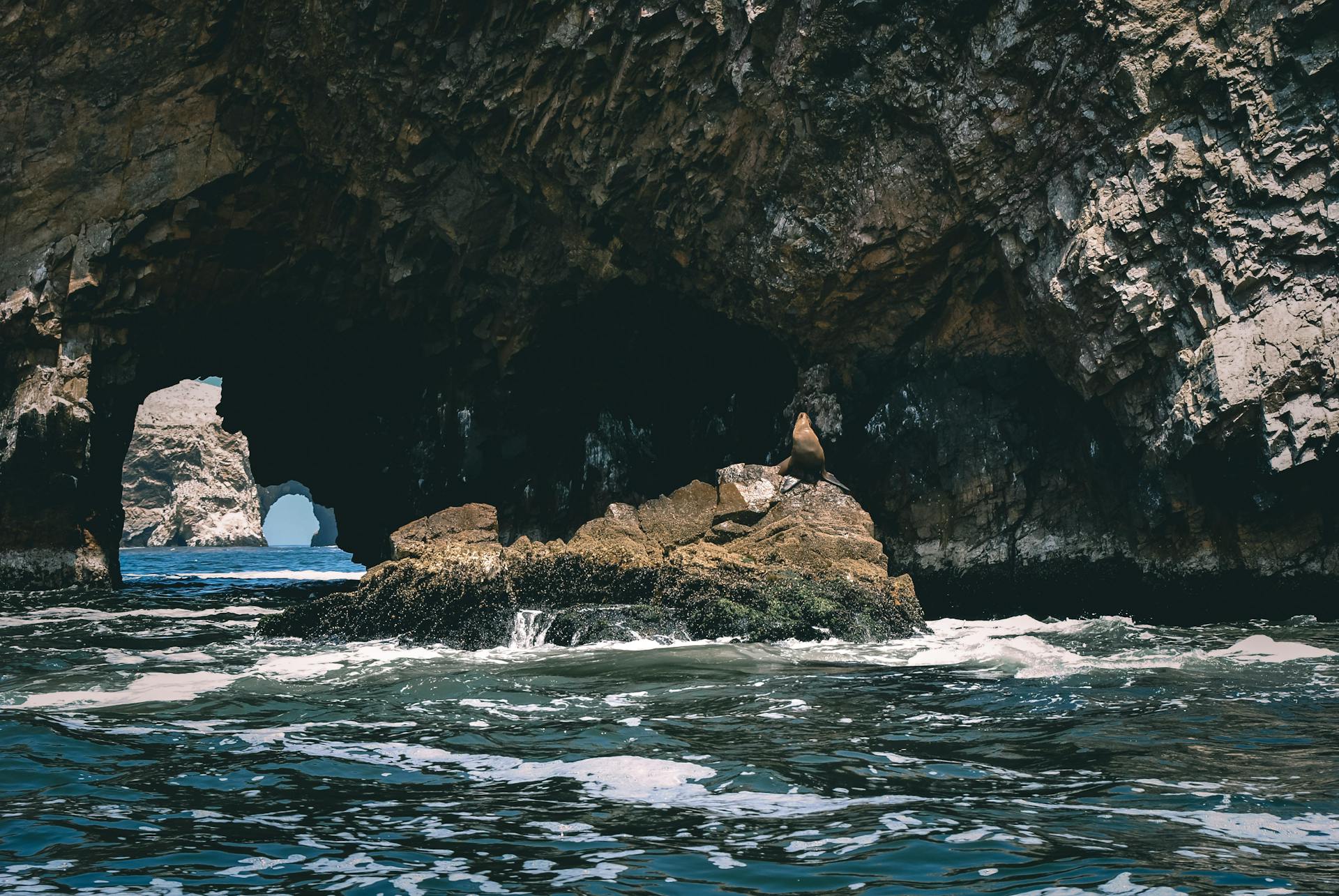 Islas Ballestas, Reserva Nacional de Paracas, Peru.