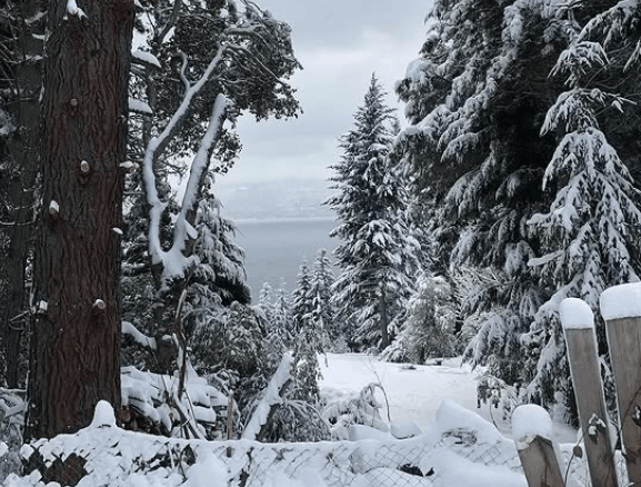 Paisaje de la Patagonia argentina un día de invierno.