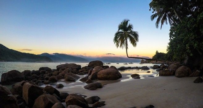 Praia do Aventureiro com o seu famoso Coqueiro Deitado no pôr do sol na Ilha Grande.