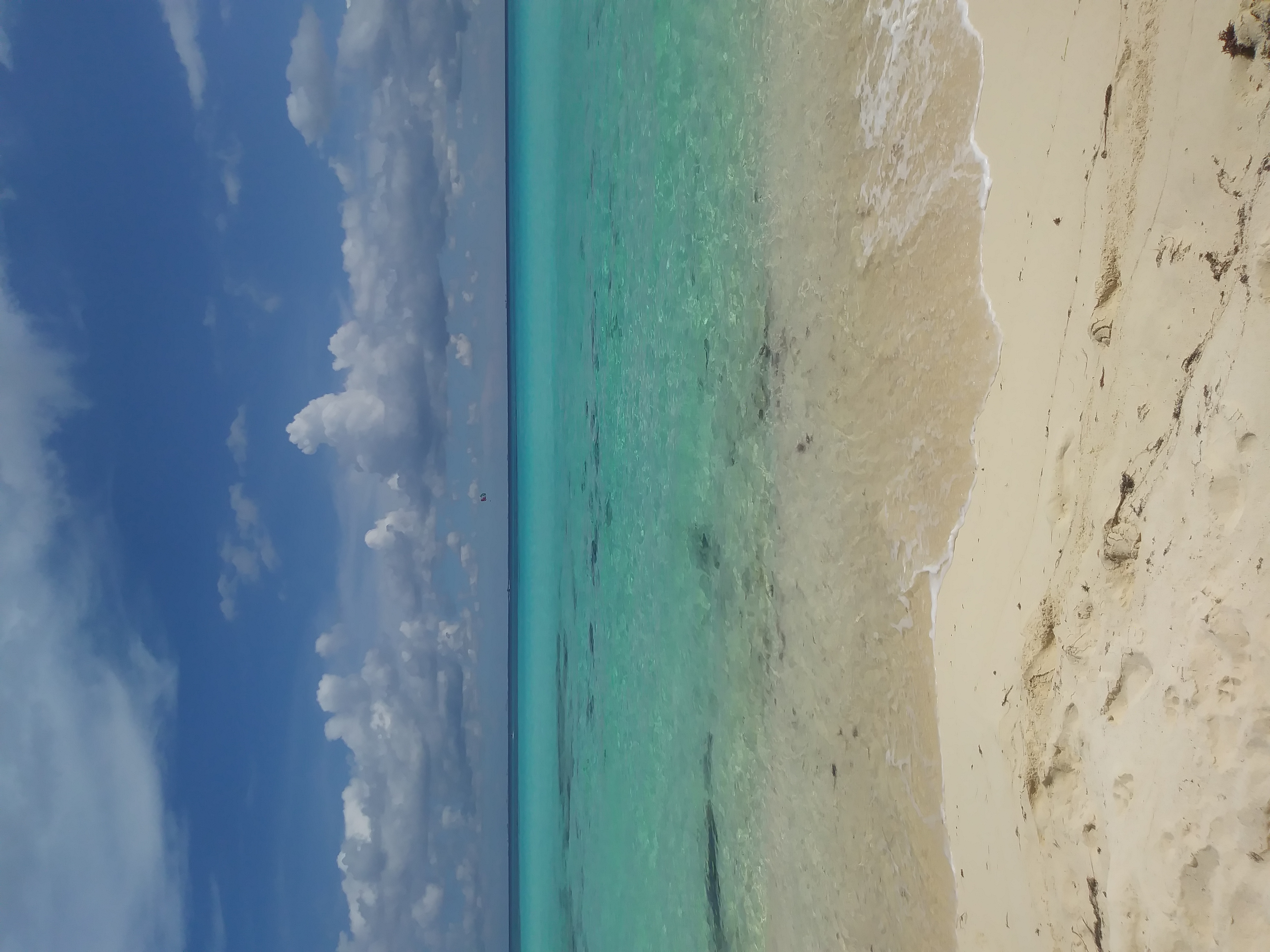 Guía de viaje a Playa del Carmen 2026: Qué hacer y consejos locales - Imagen 3