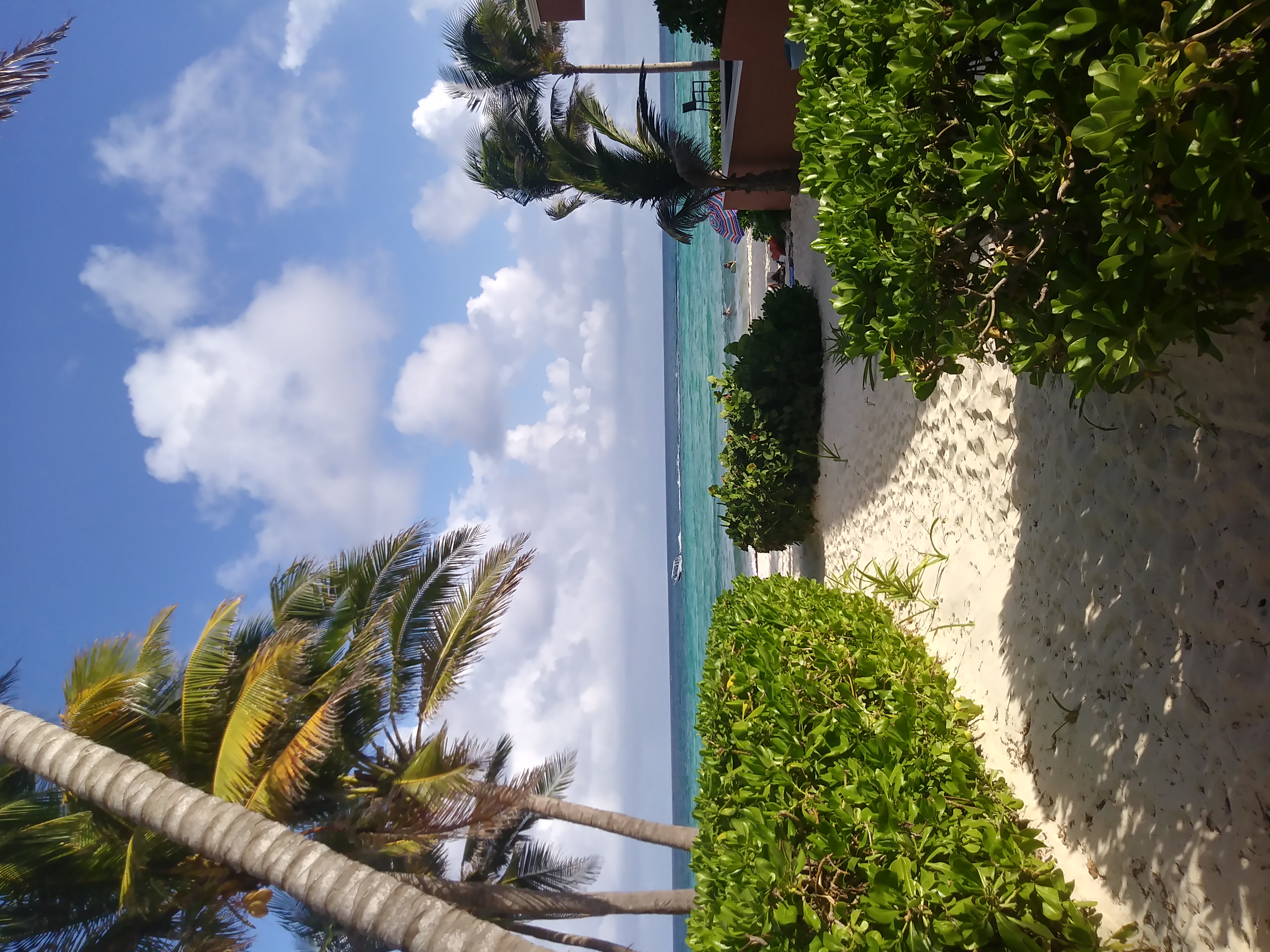 Guía de viaje a Playa del Carmen 2026: Qué hacer y consejos locales - Imagen 9
