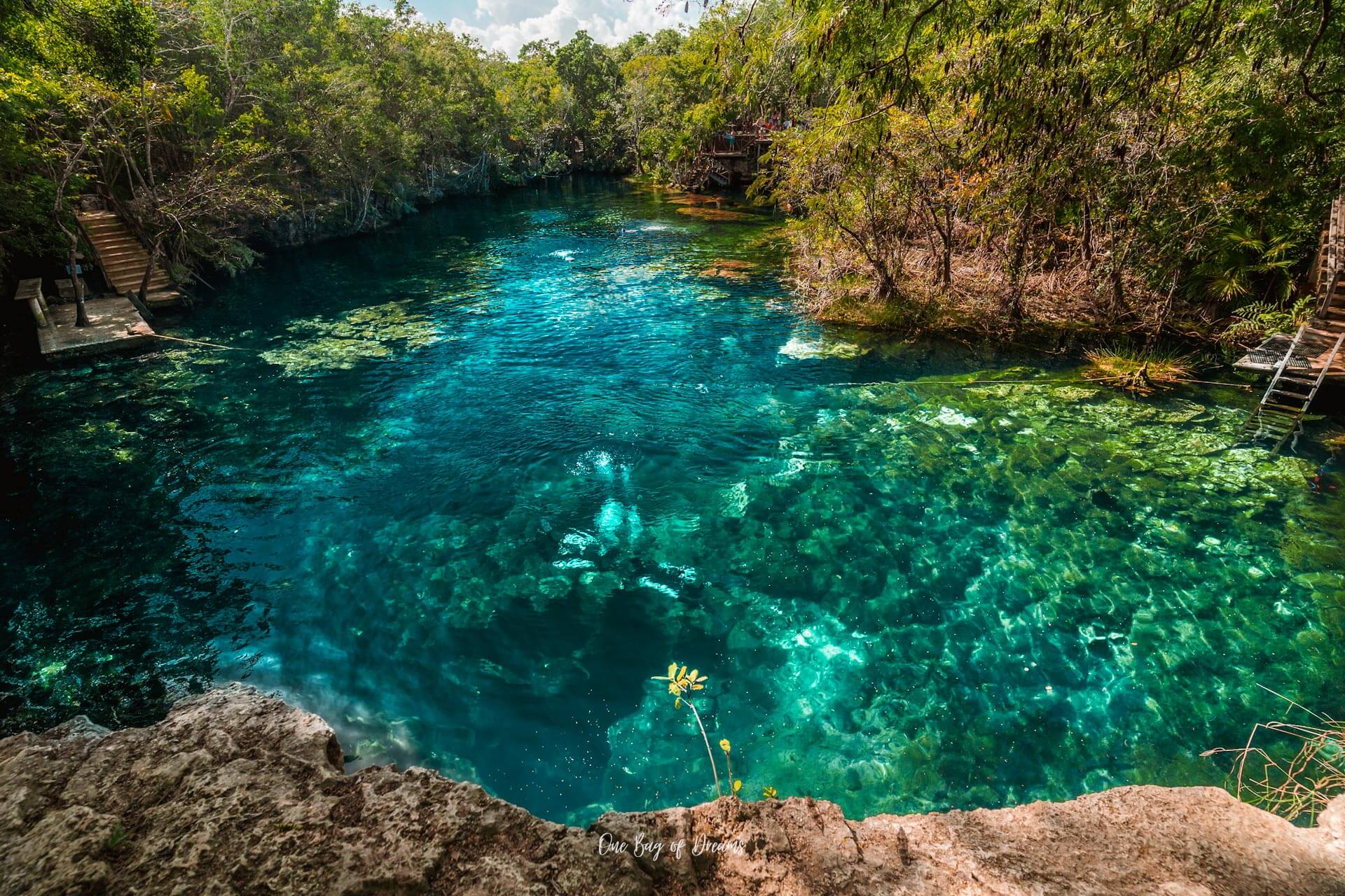 El Cenote Jardín del Edén (también conocido como Ponderosa) es uno de los cenotes abiertos más grandes y espectaculares de la Riviera Maya.