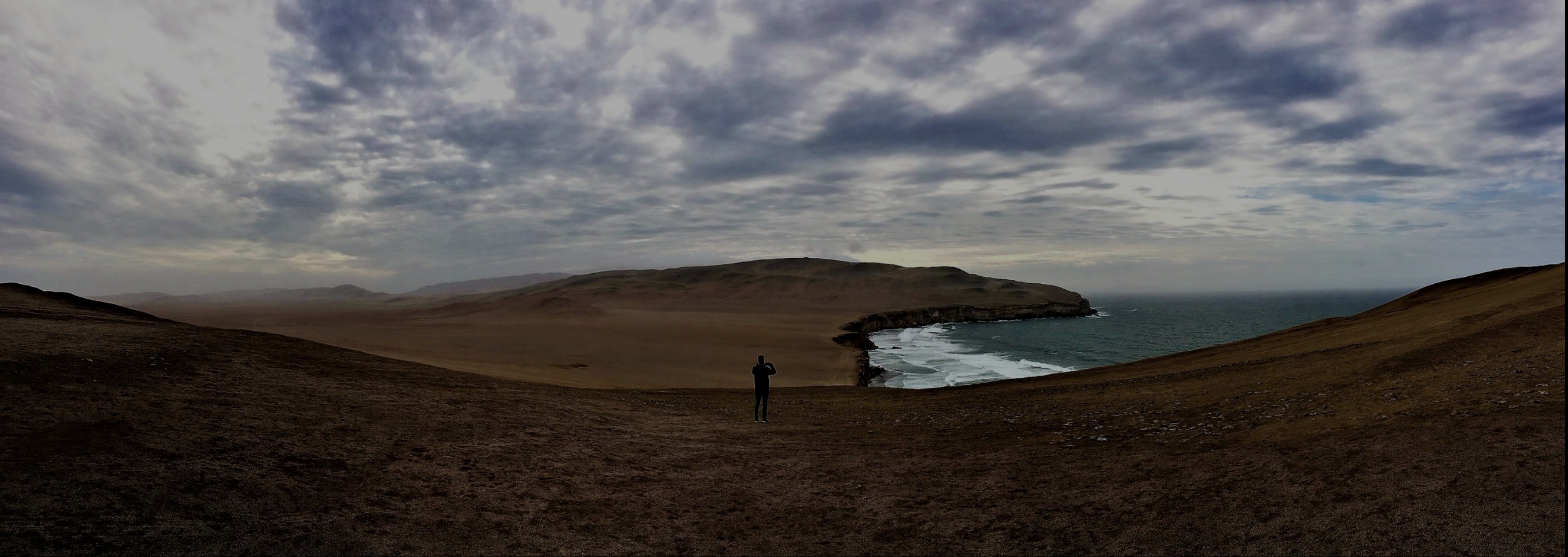 Guía de Paracas 2026: Islas Ballestas, Reserva Nacional y Consejos - Imagen 12