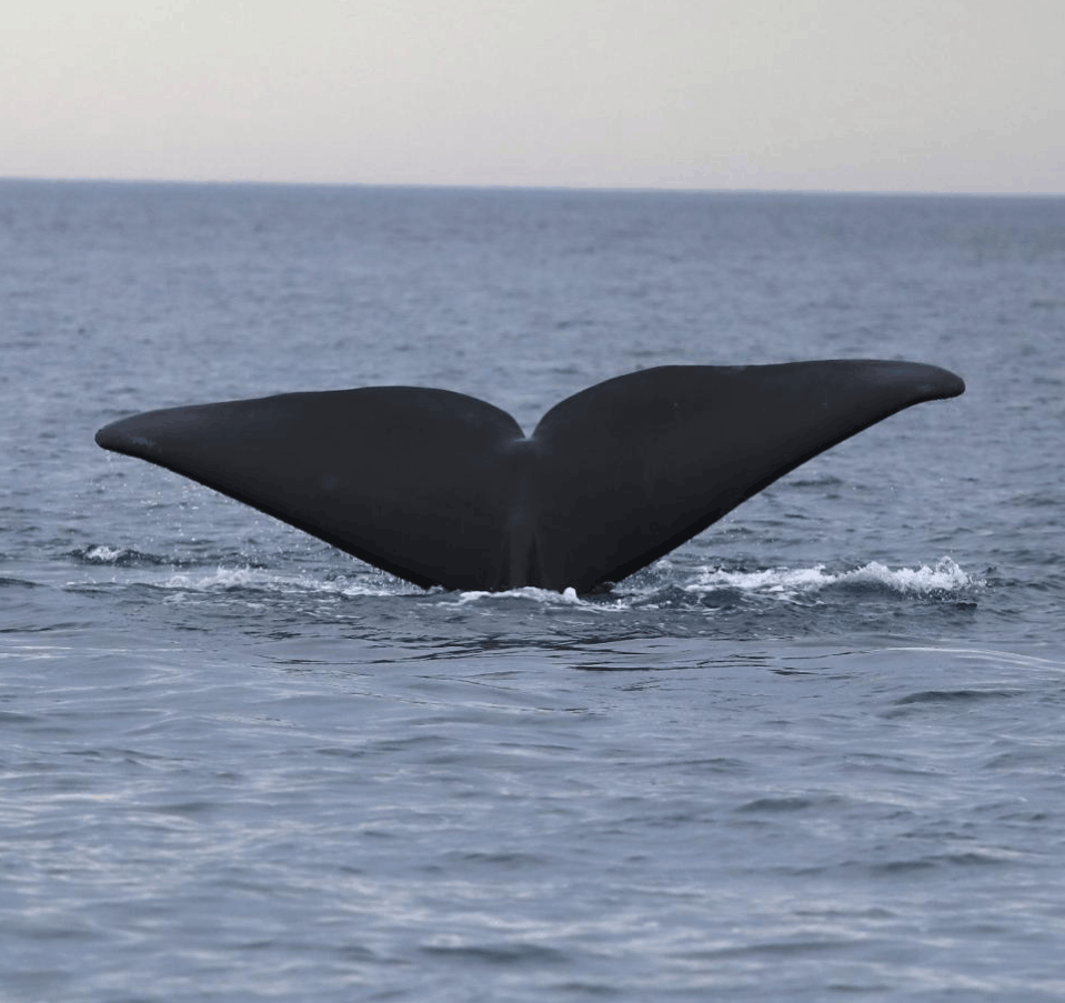 Imagen de Puerto Madryn