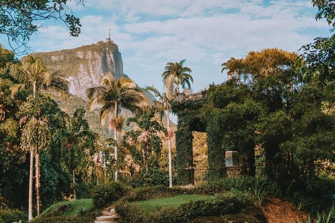 Jardín Botánico de Rio de Janeiro, Brasil. 