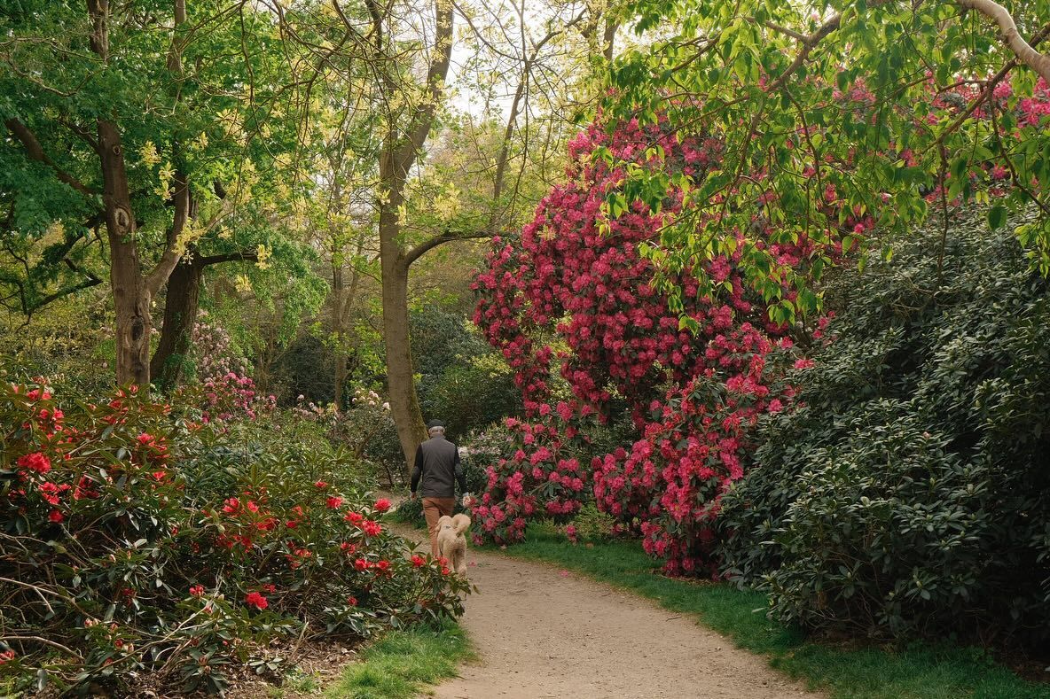 Preciosa trilha cercada de flores e vegetação exuberante no Real Jardim Botânico de Edimburgo.