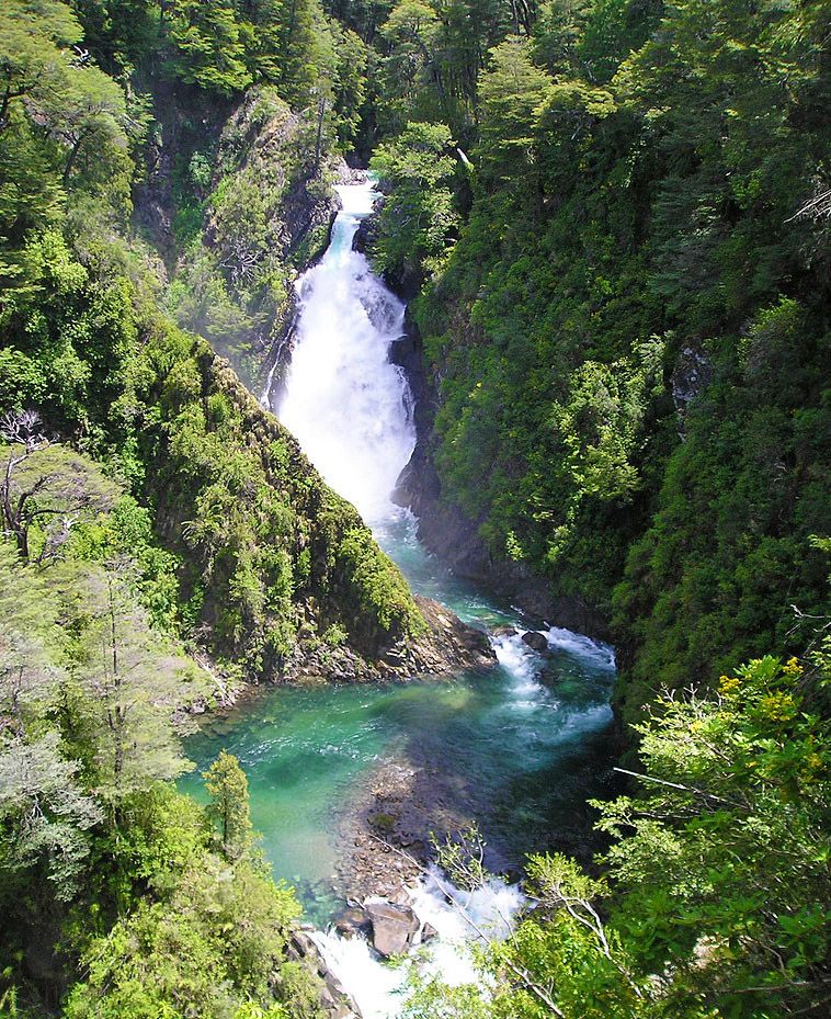 The powerful Chachín Waterfall hidden deep inside the lush Valdivian rainforest near Hua Hum.