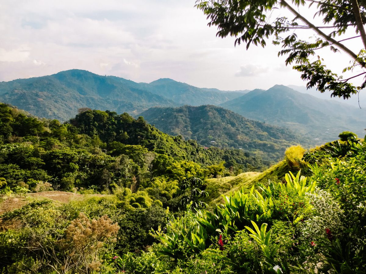Vista de la selva de Minca, Santa Marta, Colombia.