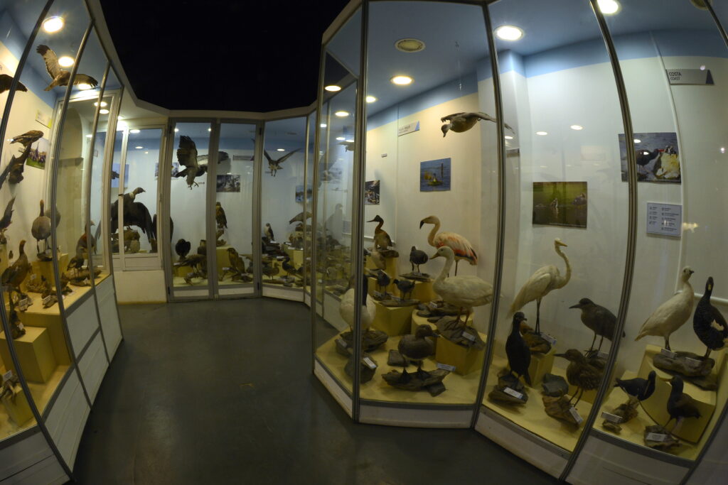 End of the World Museum, Ushuaia, Argentina.
