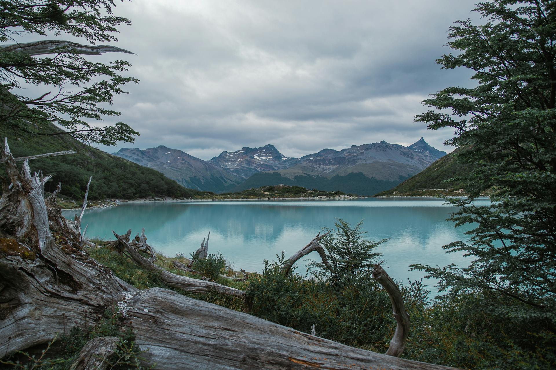 Tierra del Fuego National Park, Ushuaia, Argentina.