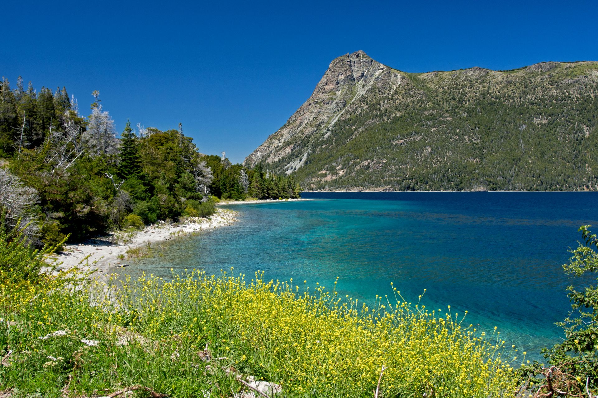 Turquoise water shoreline at Bahía Mansa, one of the historic foundational spots of Villa La Angostura, Argentina.