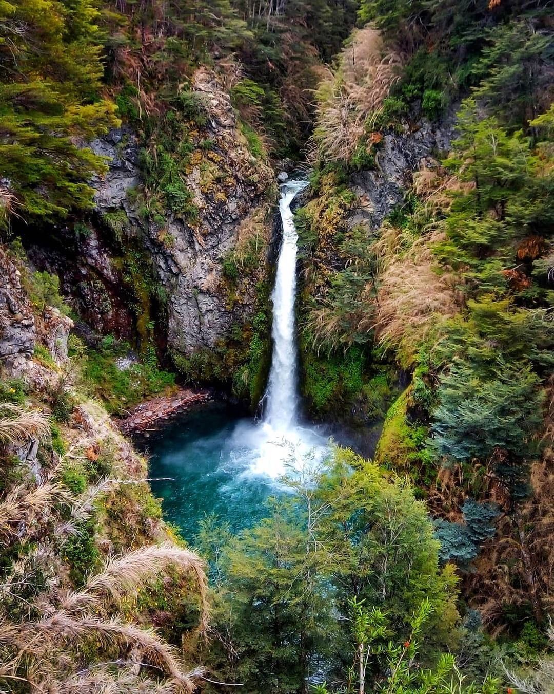 Water stream dropping at the Río Bonito Waterfall surrounded by lush native Patagonian vegetation in Villa La Angostura.